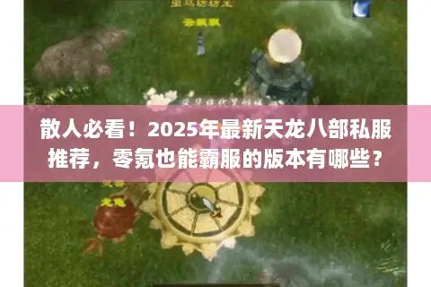 散人必看!2025年最新天龙八部私服推荐,零氪也能霸服的版本有哪些? 散人必看!2025年最新天龙八部私服推荐,零氪也能霸服的版本有哪些?