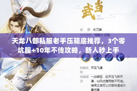 天龙八部私服老手压箱底推荐,3个零坑服+10年不传攻略,新人秒上手 天龙八部私服老手压箱底推荐,3个零坑服+10年不传攻略,新人秒上手