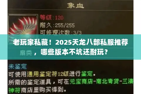 老玩家私藏!2025天龙八部私服推荐,哪些版本不坑还耐玩? 老玩家私藏!2025天龙八部私服推荐,哪些版本不坑还耐玩?