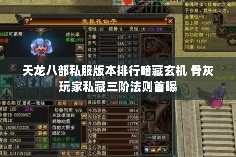 天龙八部私服版本排行暗藏玄机 骨灰玩家私藏三阶法则首曝 天龙八部私服版本排行暗藏玄机 骨灰玩家私藏三阶法则首曝