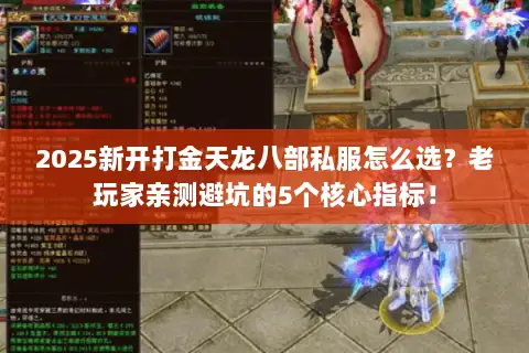 2025新开打金天龙八部私服怎么选?老玩家亲测避坑的5个核心指标! 2025新开打金天龙八部私服怎么选?老玩家亲测避坑的5个核心指标!