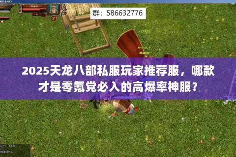 2025天龙八部私服玩家推荐服，哪款才是零氪党必入的高爆率神服？