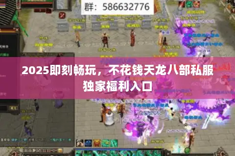 2025即刻畅玩，不花钱天龙八部私服独家福利入口