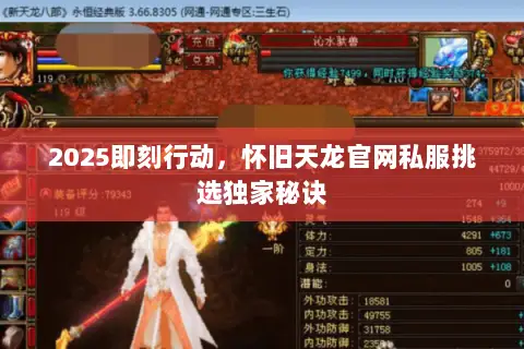 2025即刻行动，怀旧天龙官网私服挑选独家秘诀