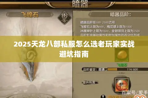 2025天龙八部私服怎么选老玩家实战避坑指南 2025天龙八部私服怎么选老玩家实战避坑指南