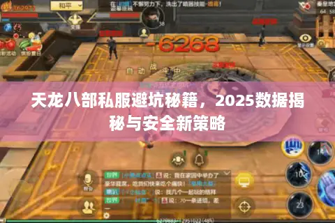 天龙八部私服避坑秘籍，2025数据揭秘与安全新策略