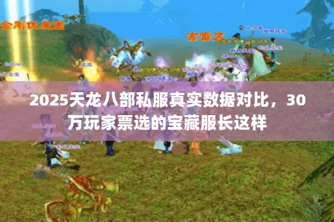 2025天龙八部私服真实数据对比，30万玩家票选的宝藏服长这样