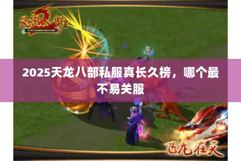 2025天龙八部私服真长久榜，哪个最不易关服