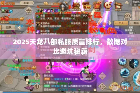 2025天龙八部私服质量排行,数据对比避坑秘籍 2025天龙八部私服质量排行,数据对比避坑秘籍
