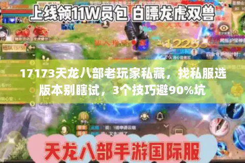 17173天龙八部老玩家私藏,找私服选版本别瞎试,3个技巧避90%坑 17173天龙八部老玩家私藏,找私服选版本别瞎试,3个技巧避90%坑