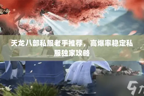 天龙八部私服老手推荐,高爆率稳定私服独家攻略 天龙八部私服老手推荐,高爆率稳定私服独家攻略
