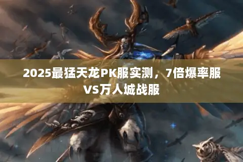 2025最猛天龙PK服实测,7倍爆率服VS万人城战服 2025最猛天龙PK服实测,7倍爆率服VS万人城战服