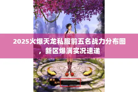 2025火爆天龙私服前五名战力分布图，新区爆满实况速递