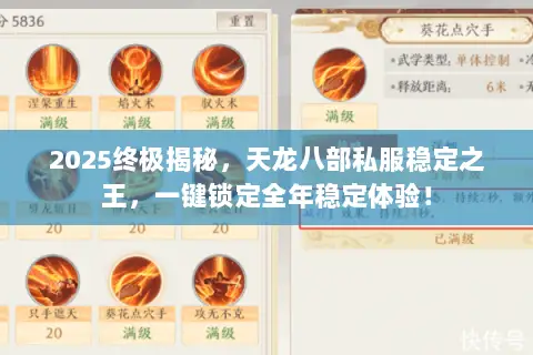 2025终极揭秘，天龙八部私服稳定之王，一键锁定全年稳定体验！