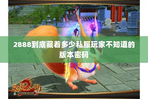 2888到底藏着多少私服玩家不知道的版本密码 2888到底藏着多少私服玩家不知道的版本密码