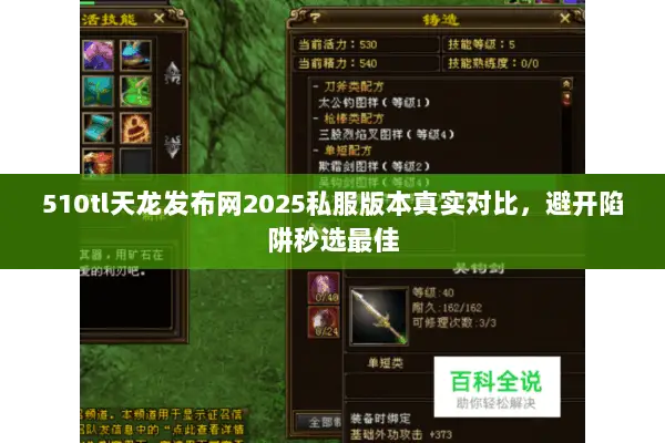 510tl天龙发布网2025私服版本真实对比,避开陷阱秒选最佳 510tl天龙发布网2025私服版本真实对比,避开陷阱秒选最佳
