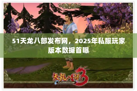 51天龙八部发布网，2025年私服玩家版本数据首曝