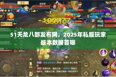51天龙八部发布网，2025年私服玩家版本数据首曝