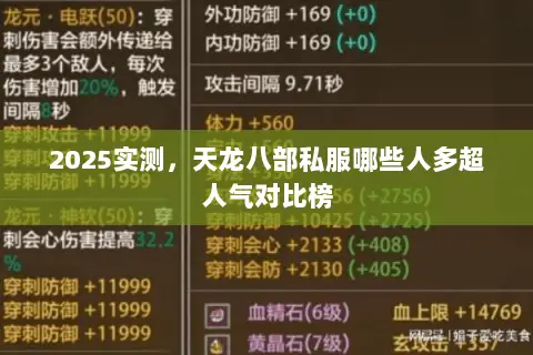 2025实测，天龙八部私服哪些人多超人气对比榜