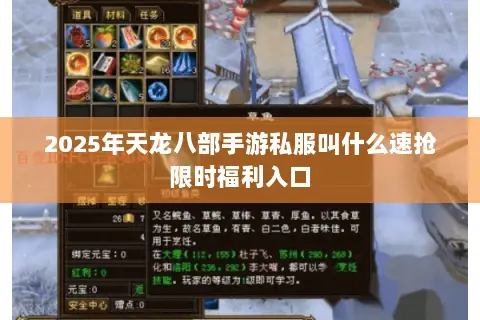 2025年天龙八部手游私服叫什么速抢限时福利入口 2025年天龙八部手游私服叫什么速抢限时福利入口