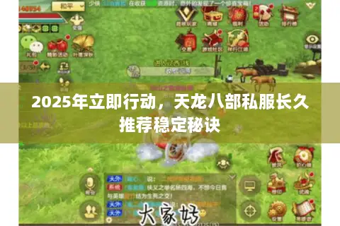 2025年立即行动,天龙八部私服长久推荐稳定秘诀 2025年立即行动,天龙八部私服长久推荐稳定秘诀