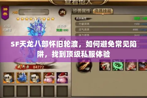 SF天龙八部怀旧轮渡，如何避免常见陷阱，找到顶级私服体验