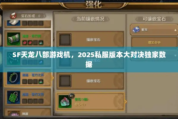 SF天龙八部游戏机，2025私服版本大对决独家数据