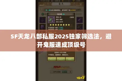 SF天龙八部私服2025独家筛选法,避开鬼服速成顶级号 SF天龙八部私服2025独家筛选法,避开鬼服速成顶级号