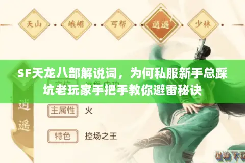 SF天龙八部解说词，为何私服新手总踩坑老玩家手把手教你避雷秘诀