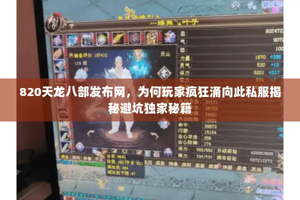820天龙八部发布网，为何玩家疯狂涌向此私服揭秘避坑独家秘籍