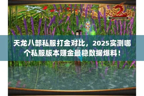 天龙八部私服打金对比，2025实测哪个私服版本赚金最稳数据爆料！