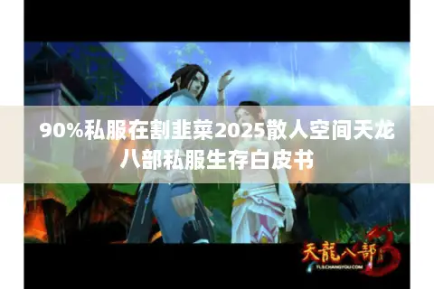 90%私服在割韭菜2025散人空间天龙八部私服生存白皮书 90%私服在割韭菜2025散人空间天龙八部私服生存白皮书