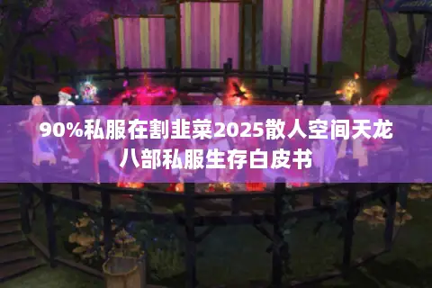 90%私服在割韭菜2025散人空间天龙八部私服生存白皮书 90%私服在割韭菜2025散人空间天龙八部私服生存白皮书