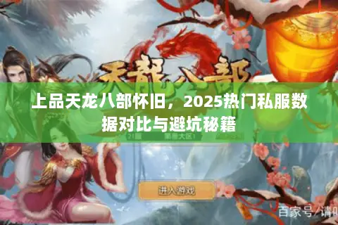 上品天龙八部怀旧，2025热门私服数据对比与避坑秘籍