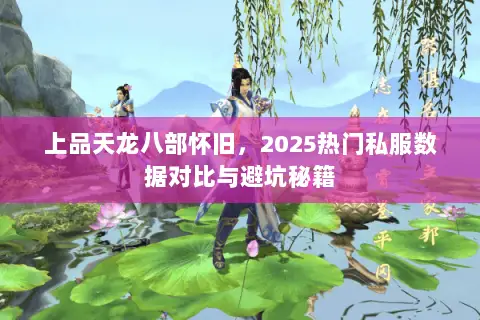 上品天龙八部怀旧，2025热门私服数据对比与避坑秘籍