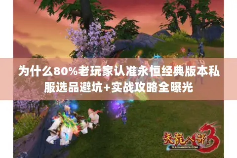 为什么80%老玩家认准永恒经典版本私服选品避坑+实战攻略全曝光 为什么80%老玩家认准永恒经典版本私服选品避坑+实战攻略全曝光