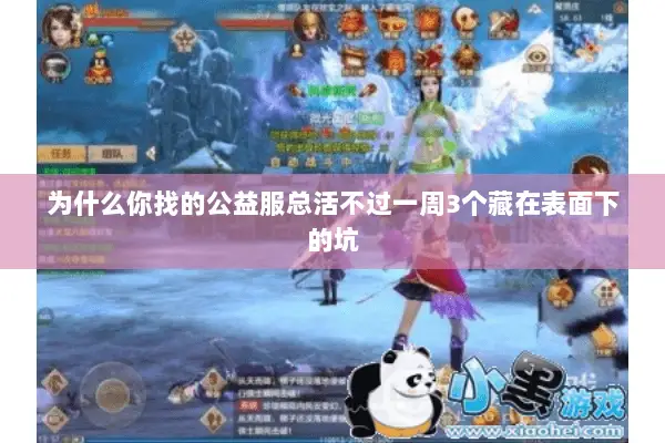 为什么你找的公益服总活不过一周3个藏在表面下的坑 为什么你找的公益服总活不过一周3个藏在表面下的坑