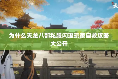 为什么天龙八部私服闪退玩家自救攻略大公开