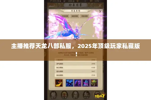 主播推荐天龙八部私服，2025年顶级玩家私藏版！