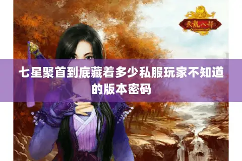 七星聚首到底藏着多少私服玩家不知道的版本密码 七星聚首到底藏着多少私服玩家不知道的版本密码
