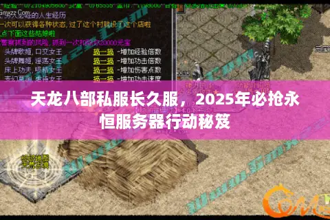 天龙八部私服长久服,2025年必抢永恒服务器行动秘笈 天龙八部私服长久服,2025年必抢永恒服务器行动秘笈