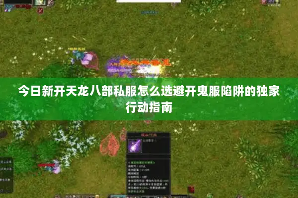 今日新开天龙八部私服怎么选避开鬼服陷阱的独家行动指南
