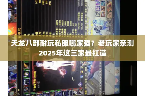 天龙八部耐玩私服哪家强?老玩家亲测2025年这三家最扛造 天龙八部耐玩私服哪家强?老玩家亲测2025年这三家最扛造