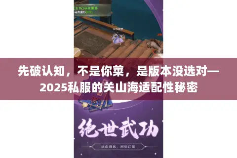 先破认知,不是你菜,是版本没选对—2025私服的关山海适配性秘密 先破认知,不是你菜,是版本没选对—2025私服的关山海适配性秘密