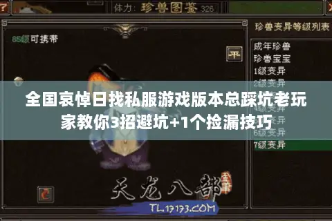 全国哀悼日找私服游戏版本总踩坑老玩家教你3招避坑+1个捡漏技巧 全国哀悼日找私服游戏版本总踩坑老玩家教你3招避坑+1个捡漏技巧
