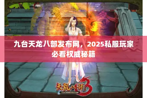 九台天龙八部发布网，2025私服玩家必看权威秘籍