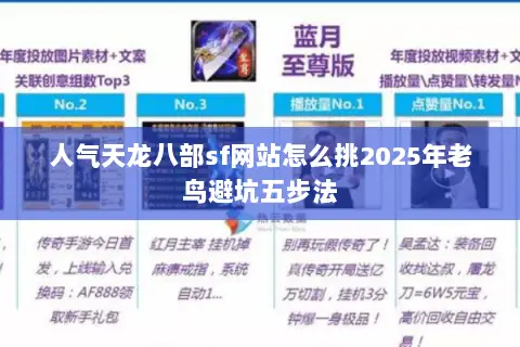 人气天龙八部sf网站怎么挑2025年老鸟避坑五步法