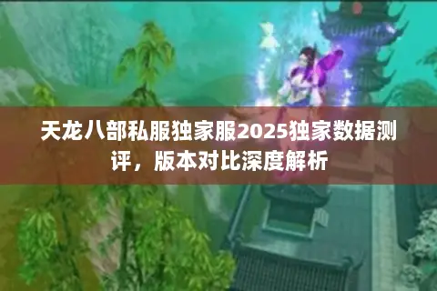 天龙八部私服独家服2025独家数据测评,版本对比深度解析 天龙八部私服独家服2025独家数据测评,版本对比深度解析