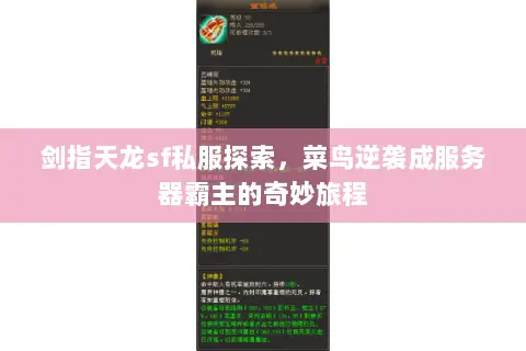 剑指天龙sf私服探索,菜鸟逆袭成服务器霸主的奇妙旅程 剑指天龙sf私服探索,菜鸟逆袭成服务器霸主的奇妙旅程