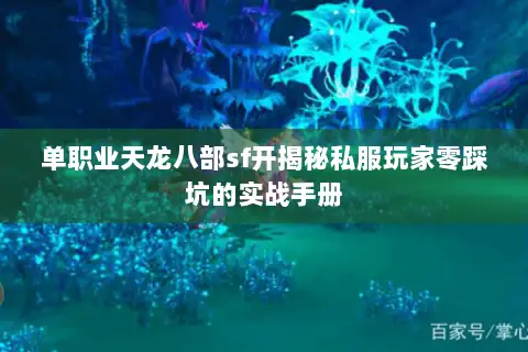 单职业天龙八部sf开揭秘私服玩家零踩坑的实战手册